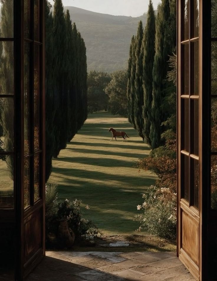The estate, morning light